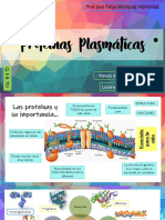 Proteínas Plasmáticas PDF
