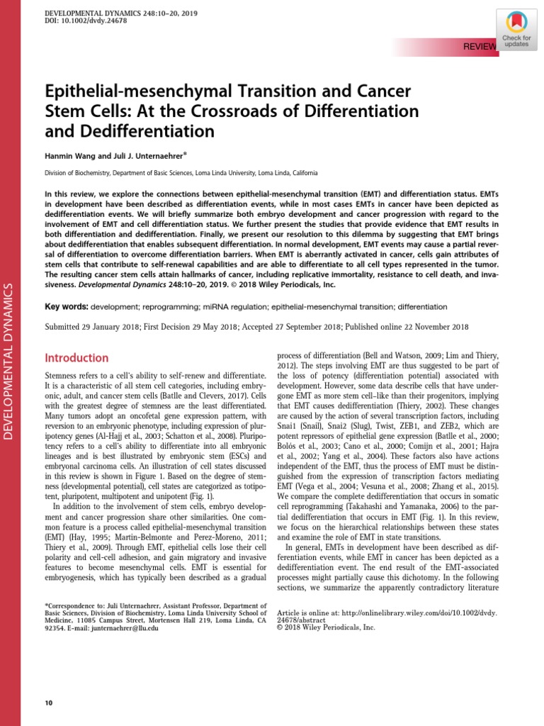 Dvdy 24678 | PDF | Cellular Differentiation | Cell Potency