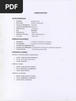 Documento Curriculum PDF