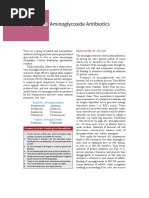 Aminoglycoside Antibiotics: Mechanism of Action