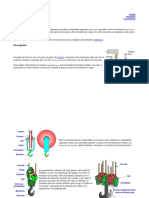Polea Móvil y Fija Sistemas de Polipastos