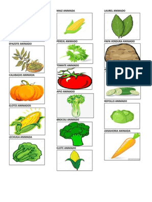 Verduras | PDF | Vegetales | Plantas comestibles