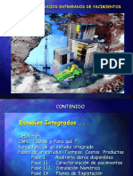 Estudios Integrados.ppt