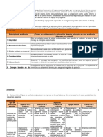 Informe Auditoria