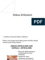 Diskus Artikularis