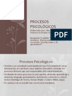 Procesos Psicológicos