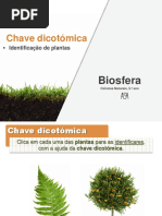  planta 5º