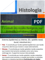 Histologia - P2