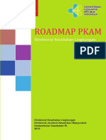 Roadmap PKAM