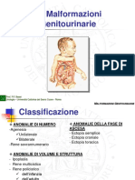 Malformazioni Genitourinarie