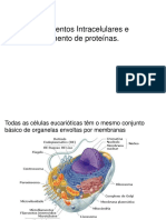 Edital Enem 2019