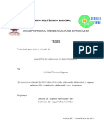 Aguamiel.pdf