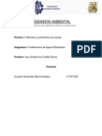 Ingenieria Ambiental