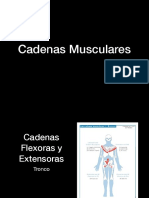 Cadenas Musculares