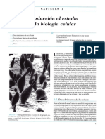 Biologia Celular molecular-Gerald Kkarp 4ta Ed..pdf