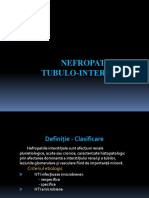 Curs 4 - Nefropatiile Tubulo - Interstitiale