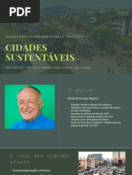 cidades sustentaveis