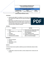 Protocolo Lesion Cubital