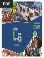 C6_1BIM_ ALUNO_2018.pdf