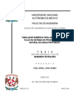 Hidratos Del Gas Natural PDF