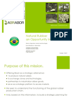 Natural Rubber An Opportunity in Brazil