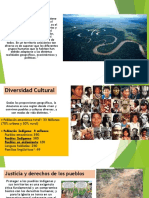 PPT_Sinodo_Colegio