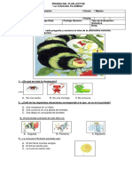 Prueba-La-cuncuna-filomena - Colorida