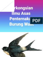 Powerpoint Burung Walit