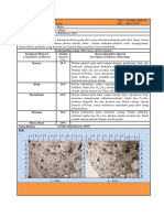 LAMPIRAN PETROGRAFI ACARA 1 BATUAN BEKU ASAM DAN INTERMEDIET.docx