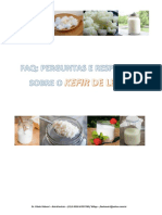 271142160-Kefir-de-Leite.pdf