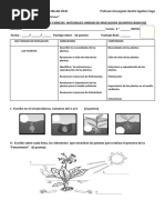 Evaluacion de Ciencias Unidad de Nivelacion Cuartosbasicos