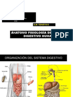 Sistema Digestivo Sétimos 2009