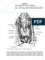 Bolile Chirurgicale Ale Tiroidei