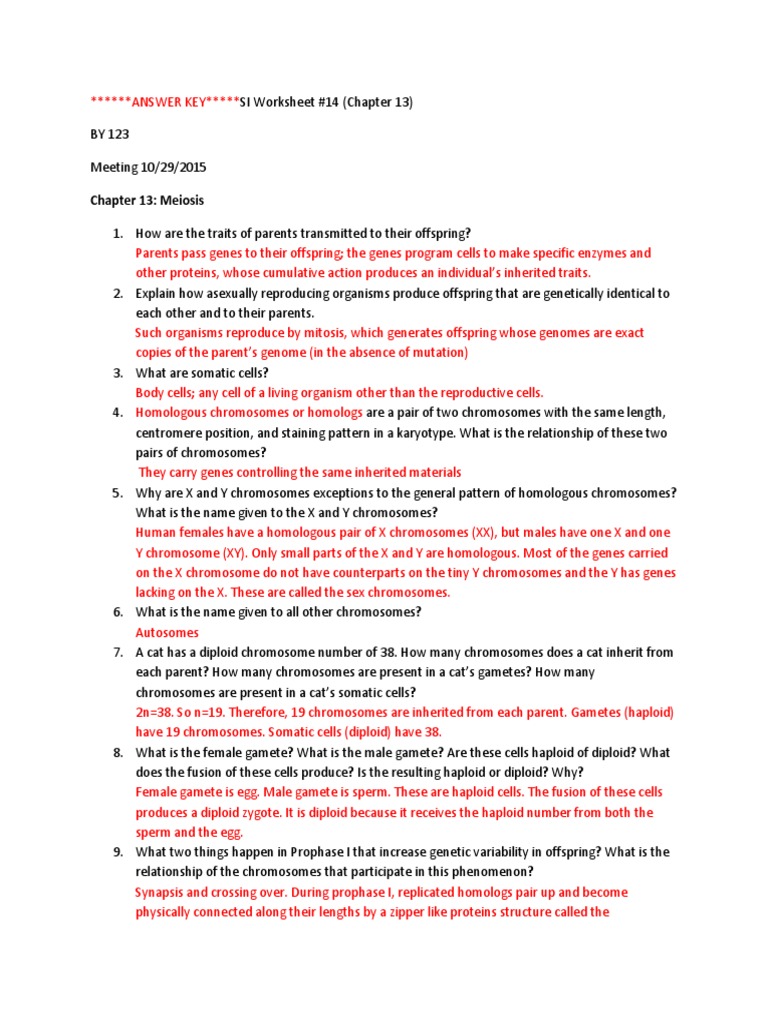 Meiosis and Genetic Variation Answers | PDF | Meiosis | Ploidy