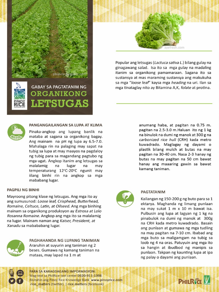 Organikong Letsugas | PDF