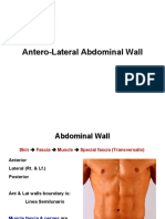 Anatomy, Lecture 8, Antero-Lateral Abdominal Wall (Slides)