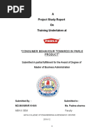 project-report-of-parle-product.doc