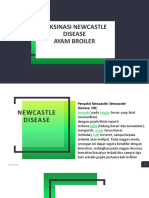 Vaksinasi Newcastle Disease