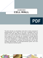 Cell Wall Review 2