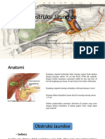 Obstruksi Jaundice