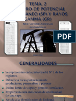 TEMA 2. REGISTROS GR Y SP.pdf