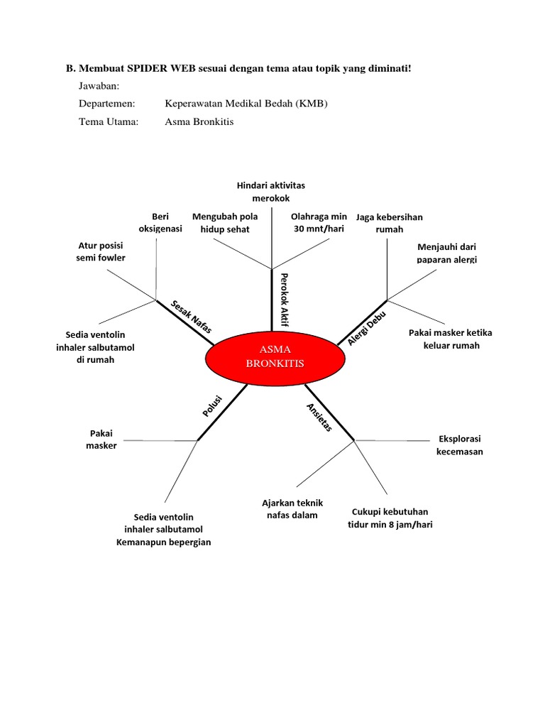 Spider Web | PDF