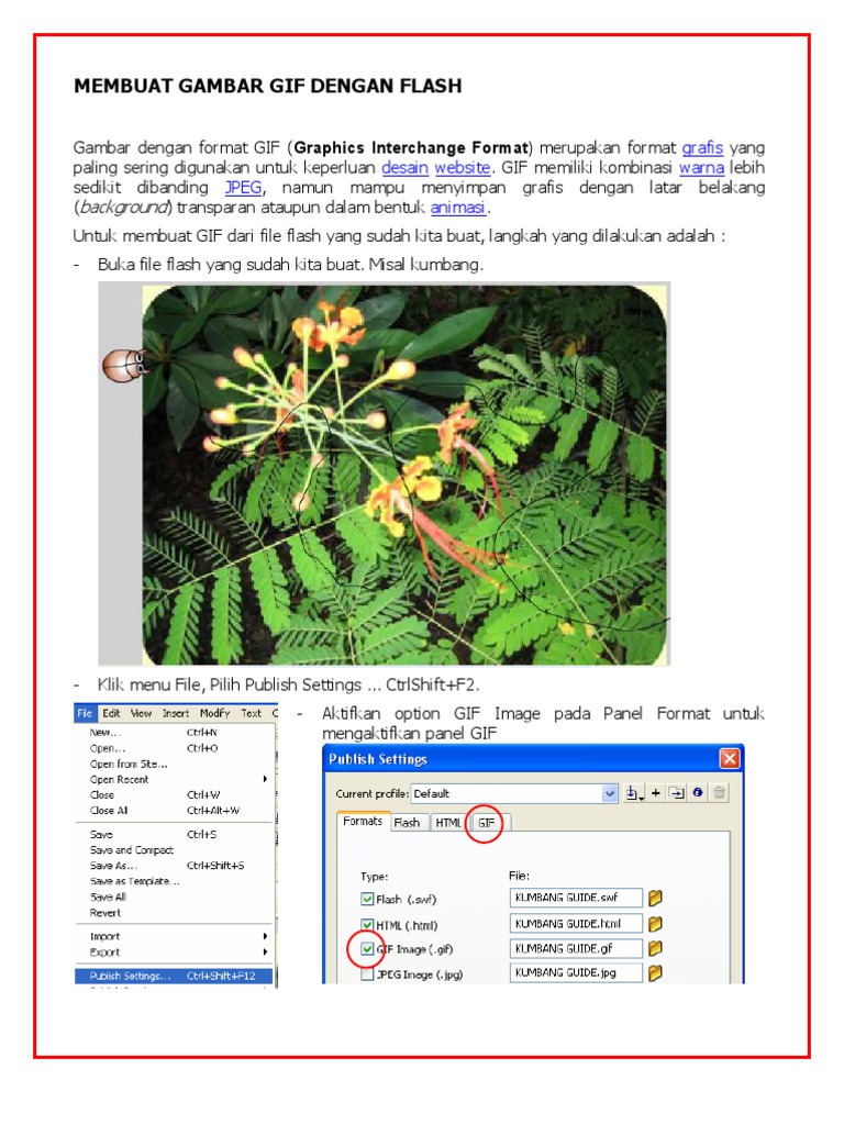 Membuat Gif Dengan Flash
