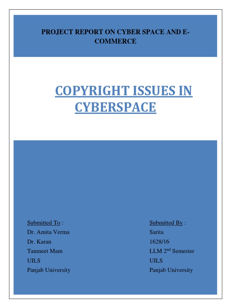 Cpoyright Issues in Cyber Space | PDF | Copyright Infringement | Mp3