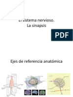 Introducción Al SN