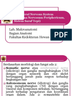 Sistema nervosum II (n cranial-spinal).pdf