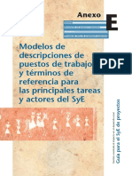 ANEXOE Modelos TdR SyE.PDF