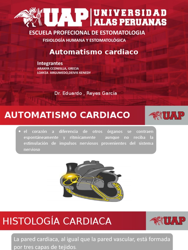 Automatismo Cardíaco: Definición y Funcionamiento | PDF | Ciencia y ...