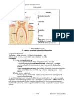 A Fej Anatomiaja Www.5mp - Eu