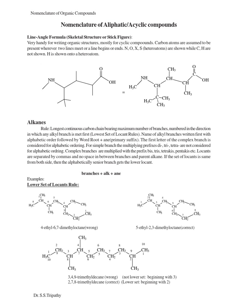 10 Organic Nomenclature Pdf Functional Group Methyl Group